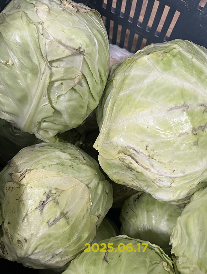 Új fejes káposzta DEAL🔥 - Image 3