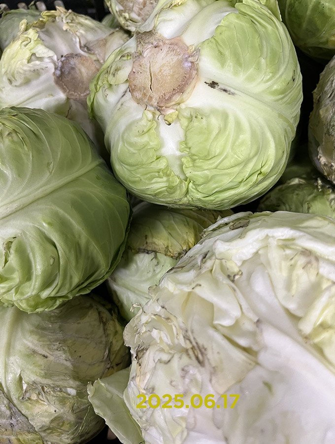 Új fejes káposzta DEAL🔥 - Image 2